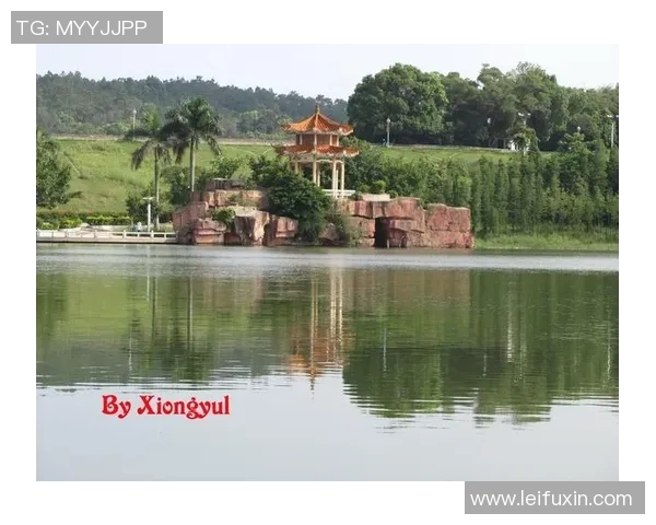 台山足球明星全景盘点及其成就回顾与未来展望