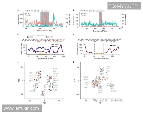 广州篮球队速度表现分析：数据揭示球队快攻效率与比赛胜负关系